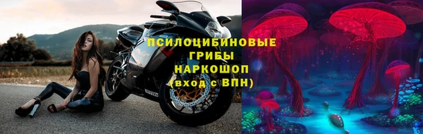 спайс Гусев