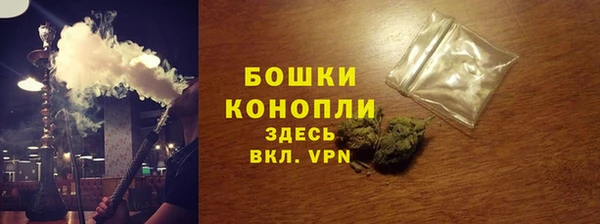 спайс Гусев