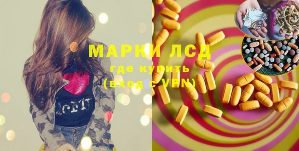 ПСИЛОЦИБИНОВЫЕ ГРИБЫ Гусиноозёрск