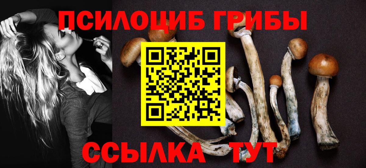 Псилоцибиновые грибы MAGIC MUSHROOMS  Шуя 