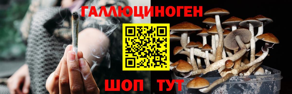 Галлюциногенные грибы ЛСД Шуя